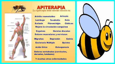 Beneficios de la Apiterapia