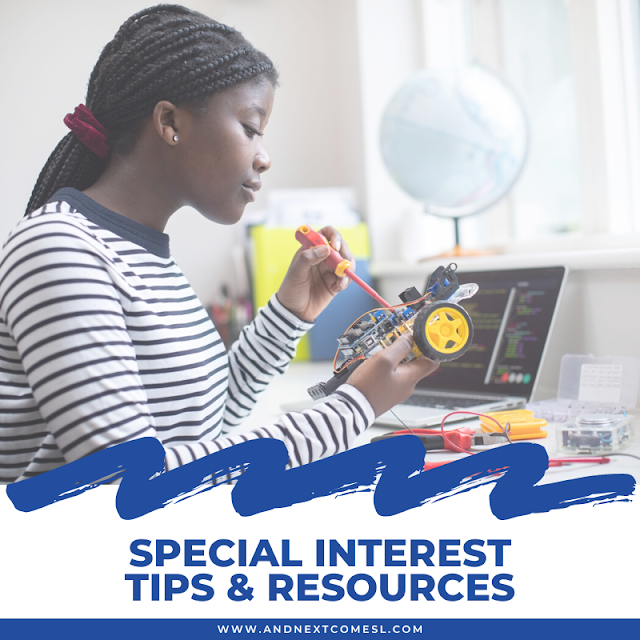Special interest resources and tips for parents of autistic or hyperlexic children + inspiration activity ideas based on those special interests!