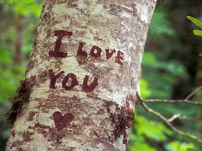 I Love You on Tree Standard Resolution Wallpaper