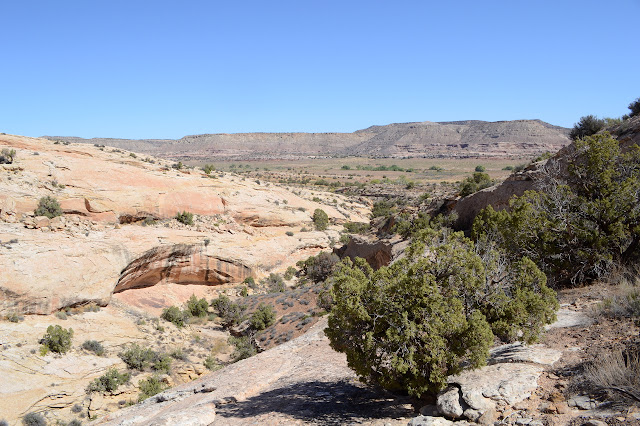 canyon and rock ledge