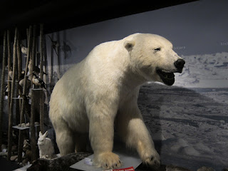 Royal and Ancient Polar Bear Society