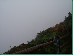 Volcano Trip 025