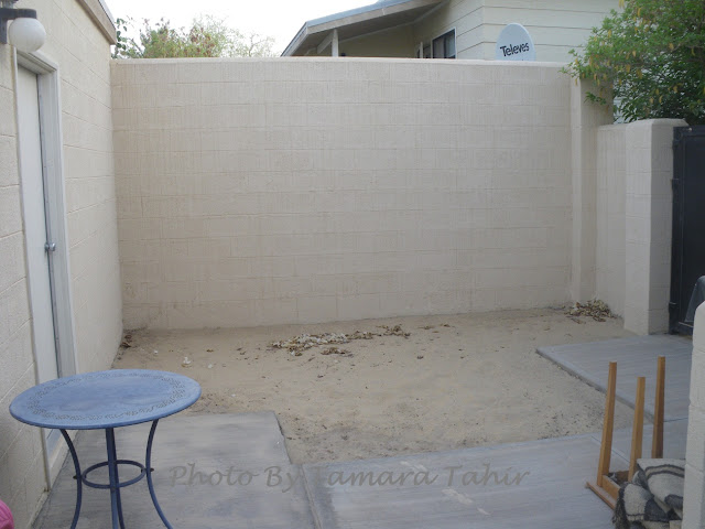 table garden plans