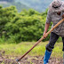 Ολοκληρώθηκαν οι πληρωμές της πρώτης δόσης για τους νέους αγρότες -Η εικόνα στην Ήπειρο 