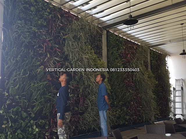 VERTICAL GARDEN INDONESIA SPESIALIS JASA PEMBUATAN VERTICAL GARDEN DI BANTEN DAN DI SELURUH WILAYAH BANTEN DENGAN TENAGA YANG PROFESIONAL DAN DAPAT DI PERCAYA YANG SELALU MENGUTAMAKAN SEBUAH MUTU DAN KUALITAS PEMASANGAN VERTICAL GARDEN/TAMAN DINDING, JASA TUKANG TAMAN VERTICAL BANTEN, JASA VERTICAL GARDEN BANTEN