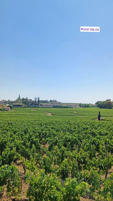 vigne-saint-emilion