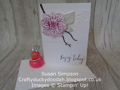 #lovemyjob, Craftyduckydoodah!, Climbing Orchid, May 2018 Coffee & Cards Project, #stampinupik, Stampin' Up! UK Independent  Demonstrator Susan Simpson, Supplies available 24/7 from my online store, 