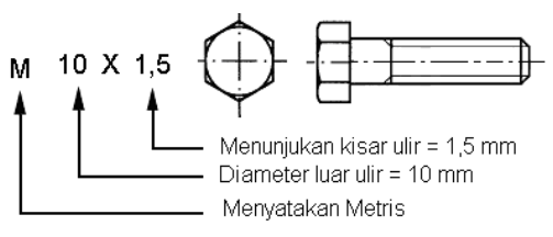 JENIS JENIS ULIR  SEGITIGA