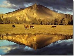 photo14