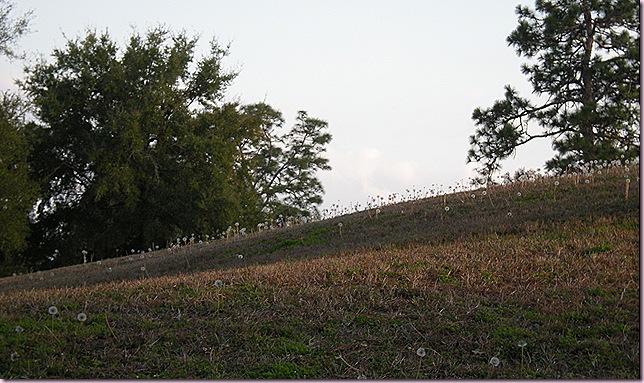 DSCN1796