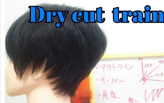 髪の切り方の種類 ドライカットで作る前下がりショートボブ 髪技屋さんの髪ブログ