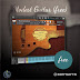 Yummy Beats Modest Guitar KONTAKT [FREE]