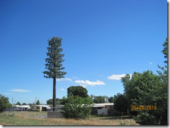 Bethel Island, CA 2010 022