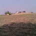 চরলক্ষিপুর > পদ্মার বুকের সাজানো গ্রামের বিবর্ণ জীবনগাঁথা