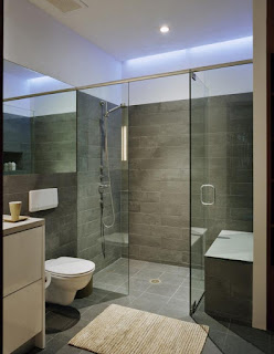 Shower glass partition model