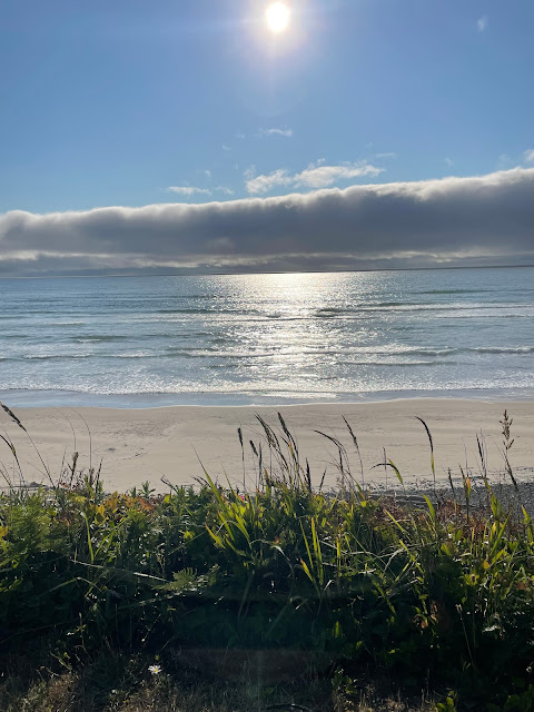 A beautiful view of the ocean again from the backyard. The sun is descending in the sky and is behind an extremely long, narrow white cloud. The reflection of the sun is hitting the ocean causing it to sparkle. There is vegetation showing  from the cliff contrasting with the sand, sky, and water.