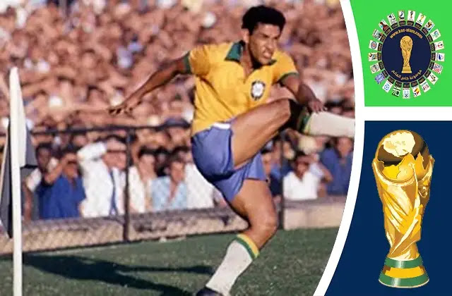شهدت بطولة كاس العالم 1962 بزوغ النجم البرازيلي غرانيشيا