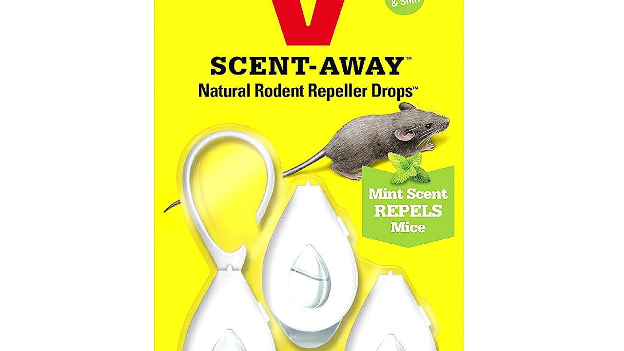 Natural Mice Repellent Peppermint Oil