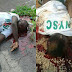 Sad: Three Kano State Corpers Involved In Motor Accident On Their Way Out Of Camp, Three Feared Dead (Graphic Photos) 