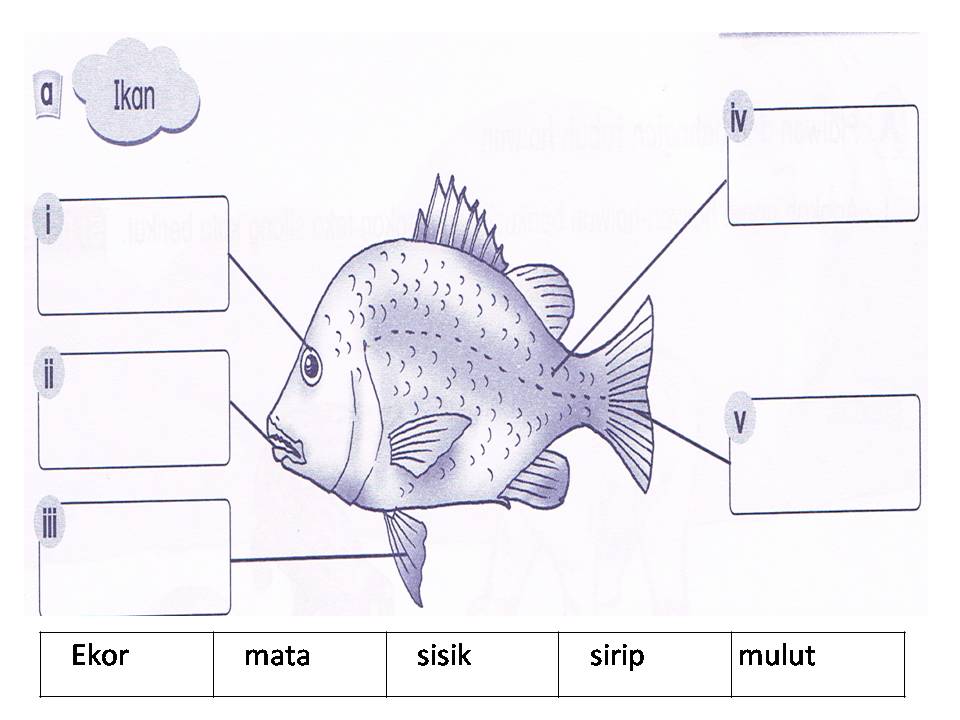 Dunia Sains dan Teknologi Tahun 1 (KSSR): Latihan