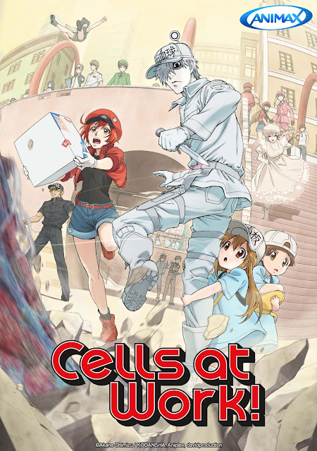 Film Geek Guy - Animax - Cells At Work!