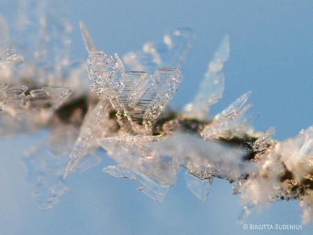 macro_20120124_kristaller