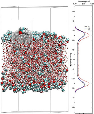 Preferred distribution of EtOH molecules.