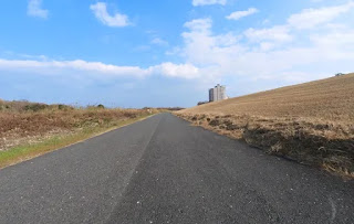 淀川土手下