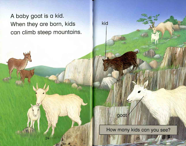 Kid Story: Baby Animals