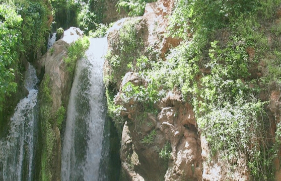 صفرو "حديقة المغرب"..  عاصمة الماء والخضرة والكرز 