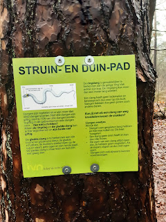 Struin en Duin belevingspad Norgerhout