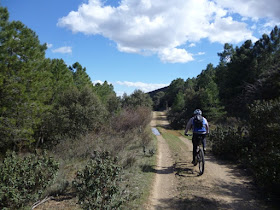Jaras y encinas Jaras y encinas