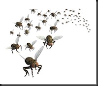 Que the Flies!