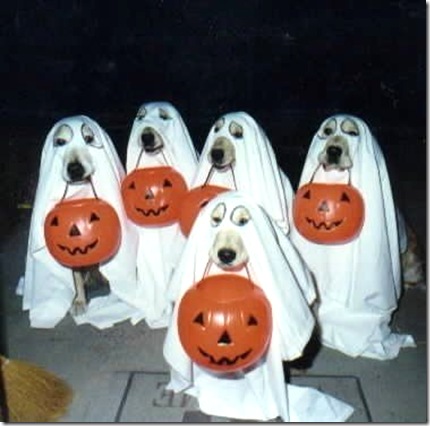 Ghostly-Dogs