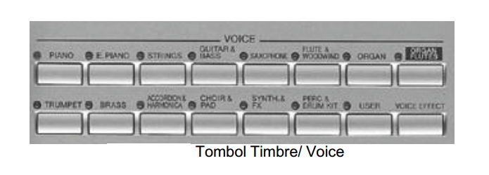 Tombol Timbre Voice