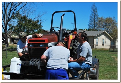 more malakoff farm life and a tractor 029