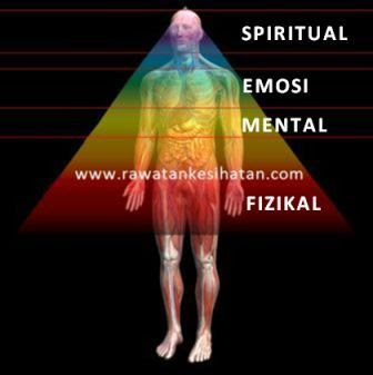 Kumpulan organ berdasarkan level tubuh