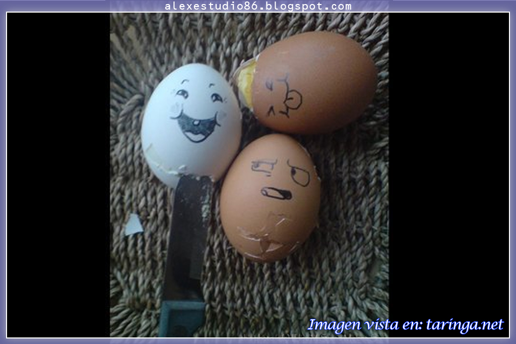 Arte con huevos 15