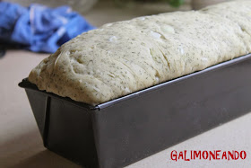 GALIMONEANDO