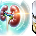 Diabetes drug Semaglutide might decrease kidney harm, concentrate on finds