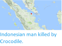 http://sciencythoughts.blogspot.co.uk/2018/04/indonesian-man-killed-by-crocodile.html