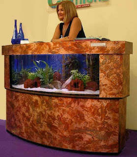 beautiful fish tanks