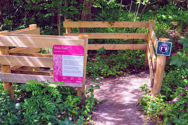 Beginning of the Vista Trail, Rouge Park