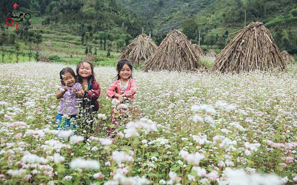 Những lưu ý khi tham gia tour du lịch Hà Giang bằng xe máy