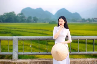 Á khôi Sinh viên Việt Nam khoe nét xuân thì bên cánh đồng lúa