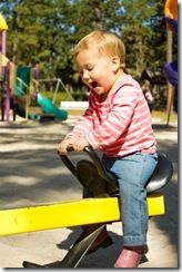 IMG_6540 IMG_6540