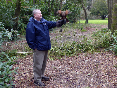 The Hawkeye Falconry Experience - Faithlegg House Hotel 