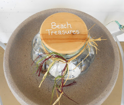 Ideas on How to Display Found & Collected Seashells from the Beach