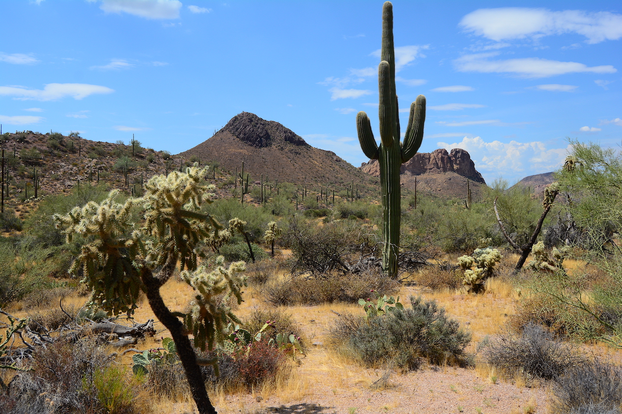 Apache Trail Arizona