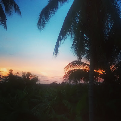 beautiful sunset, palm trees, thailand, teach english in thailand, esl, study tips, esl student study tips, romklao school esl teacher, romklao school english teacher, english communication development, learn english, teach in thailand, resources for english teachers in thailand